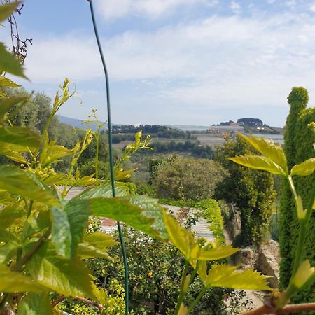 Casa Di Ingrida Bussana Vecchia Villa Sanremo Exteriör bild